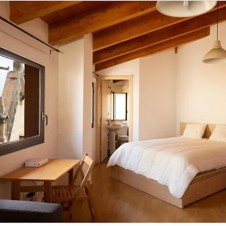 Atic Duplex Amb Encant A 10 Minuts De L' Estany Apartment