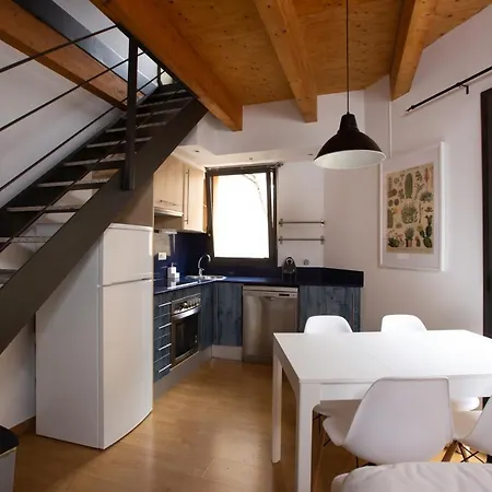 公寓 Atic Duplex Amb Encant A 10 Minuts De L' Estany
